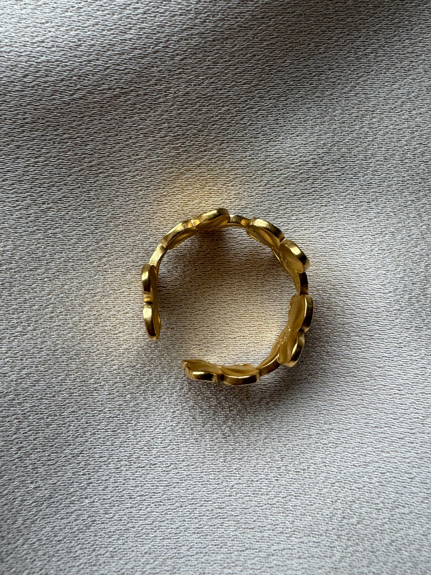 Ring SPRING