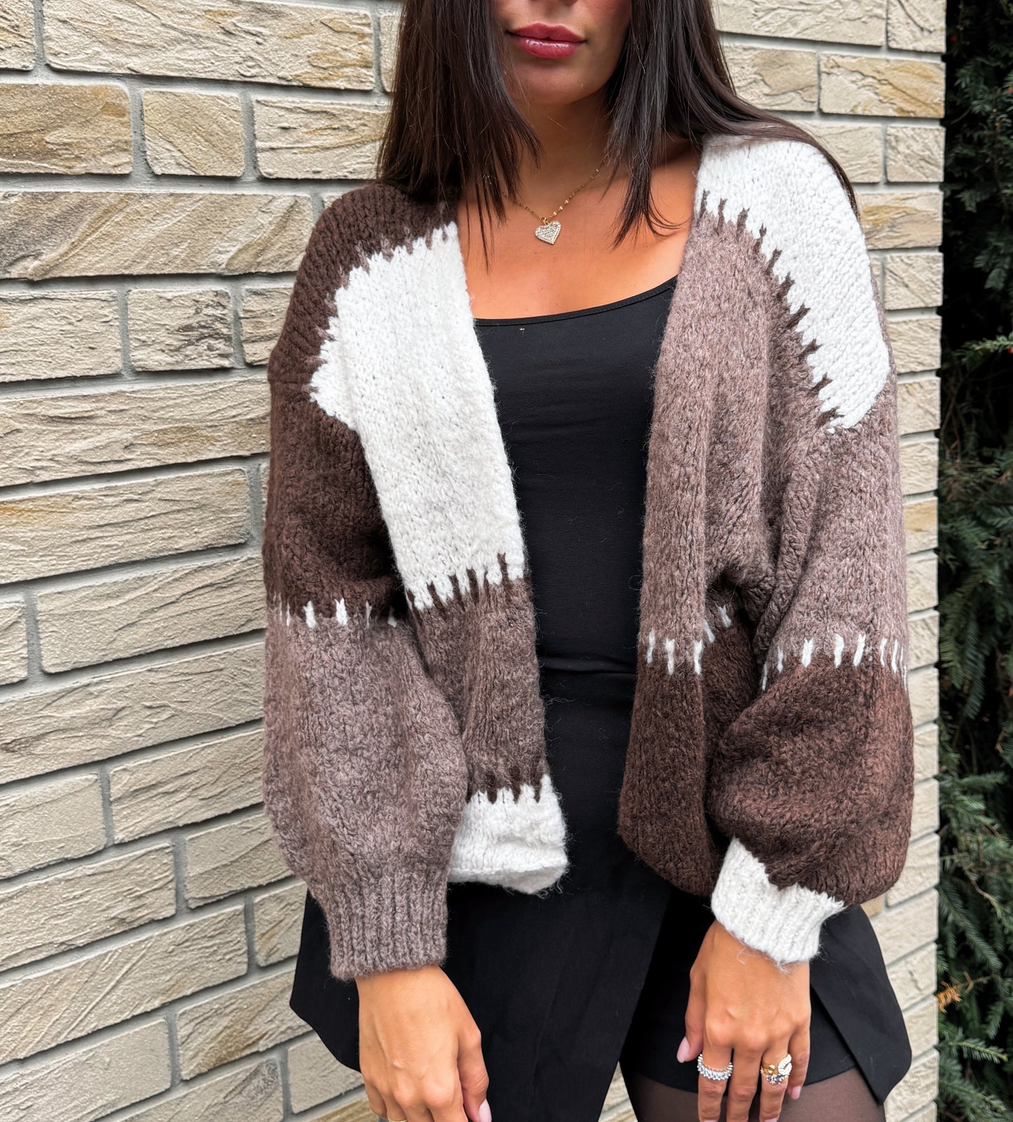 Cardigan Braun / Mix