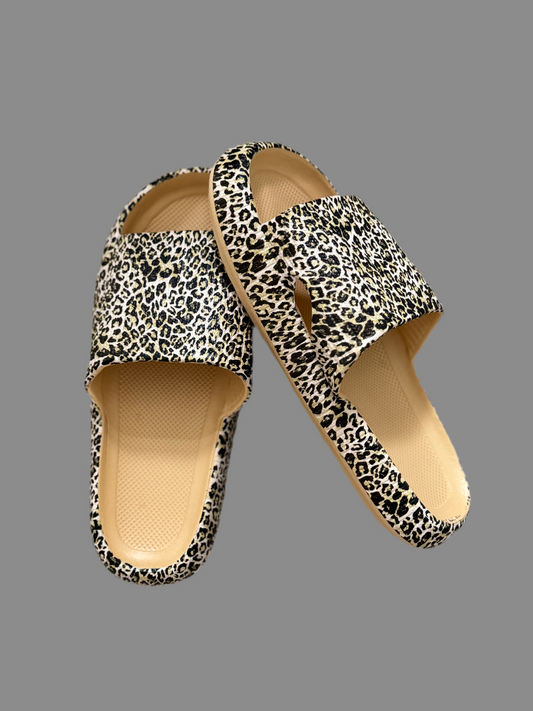 LEO SLIDES